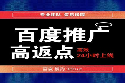 案例解析：揭秘高效竞价推广技巧